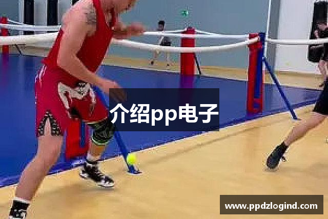 介绍pp电子